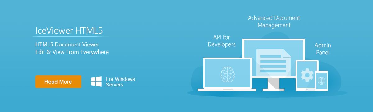 Read more about IceViewer HTML5!